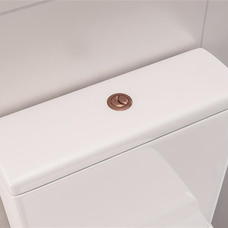 Cistern Flush Button