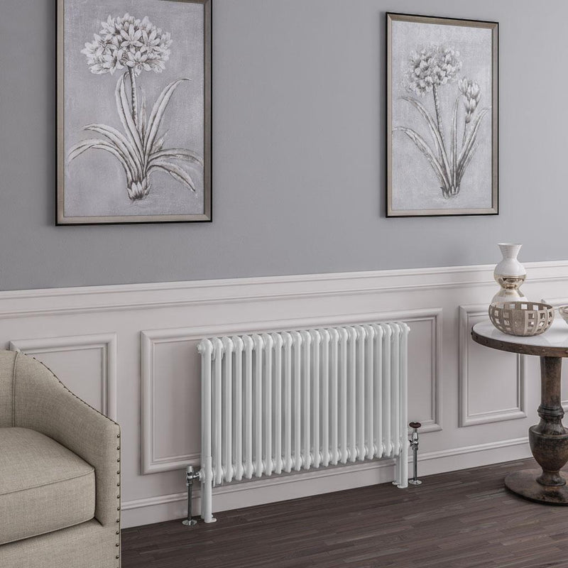 Imperia 2 Column Radiator 600 x 1010mm