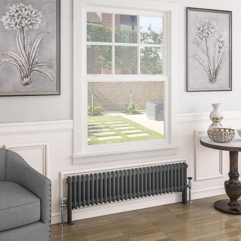 Imperia 2 Column Radiator 300 x 1370mm