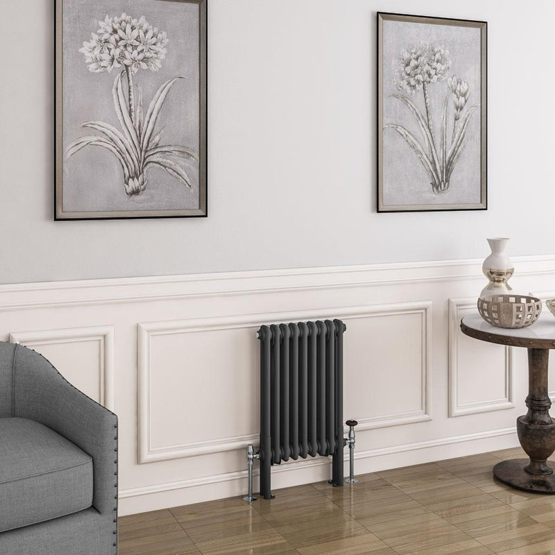 Imperia 2 Column Radiator 600 x 425mm