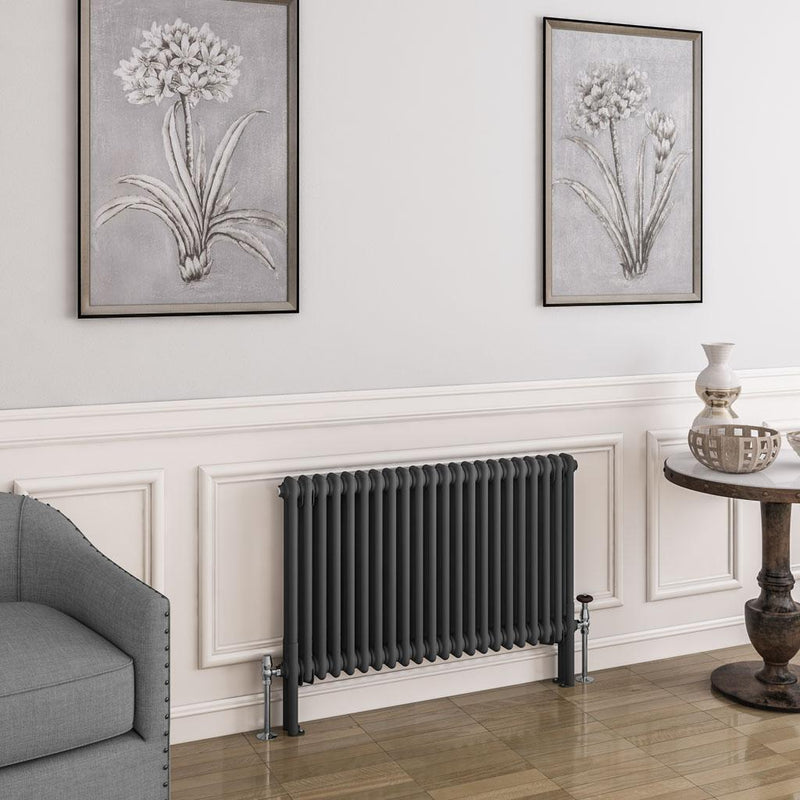 Imperia 2 Column Radiator 600 x 1010mm