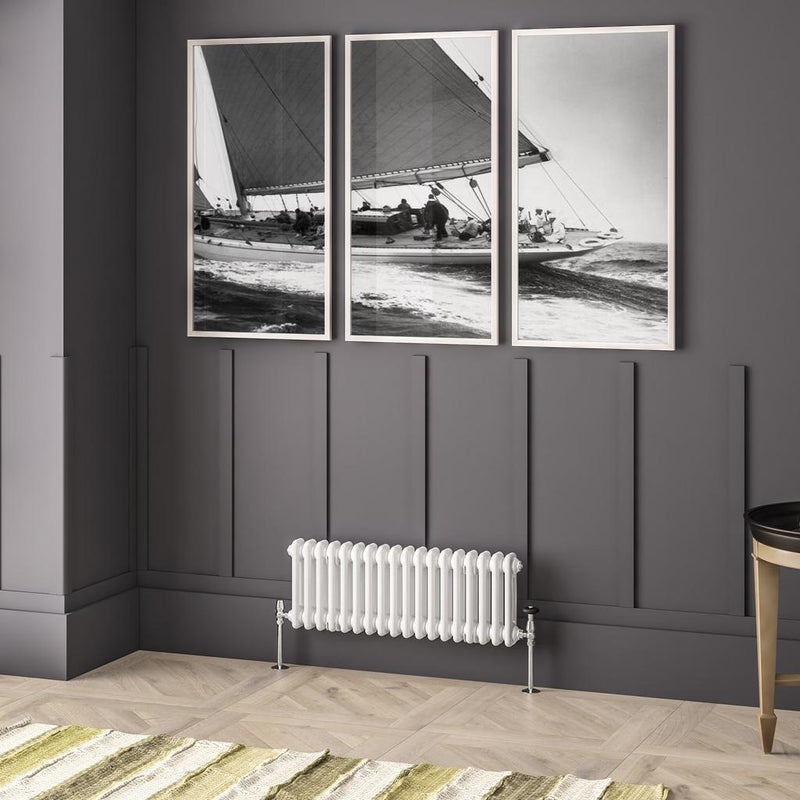 Imperia 2 Column Radiator 300 x 830mm