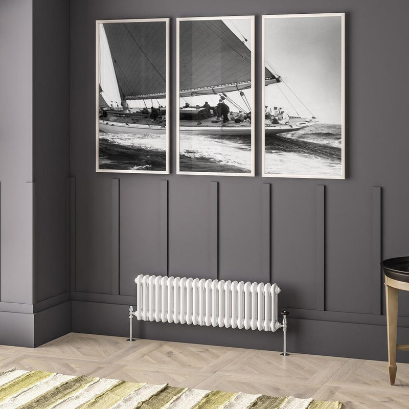 Imperia 2 Column Radiator 300 x 1010mm