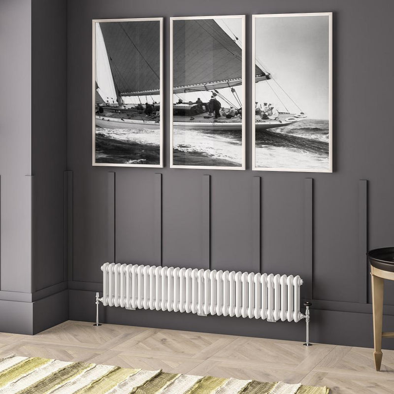 Imperia 2 Column Radiator 300 x 1460mm