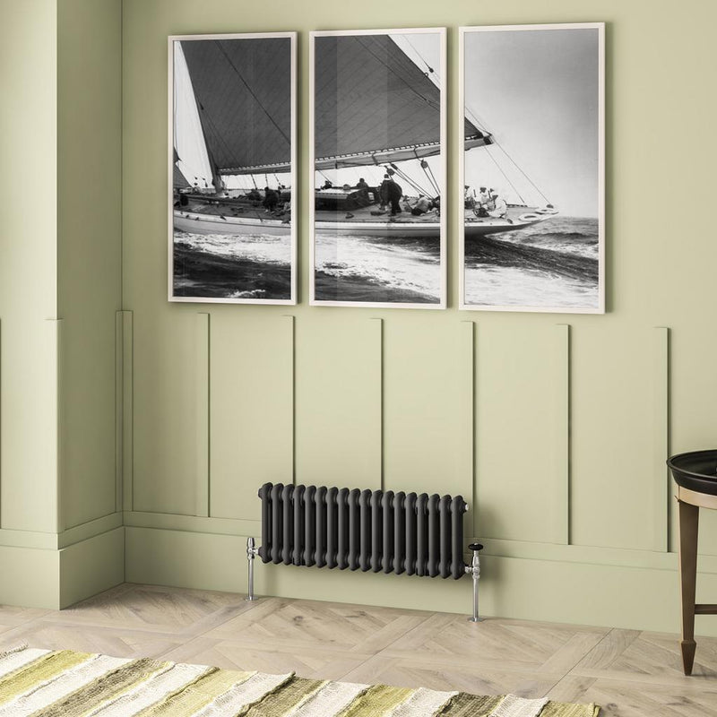 Imperia 2 Column Radiator 300 x 830mm