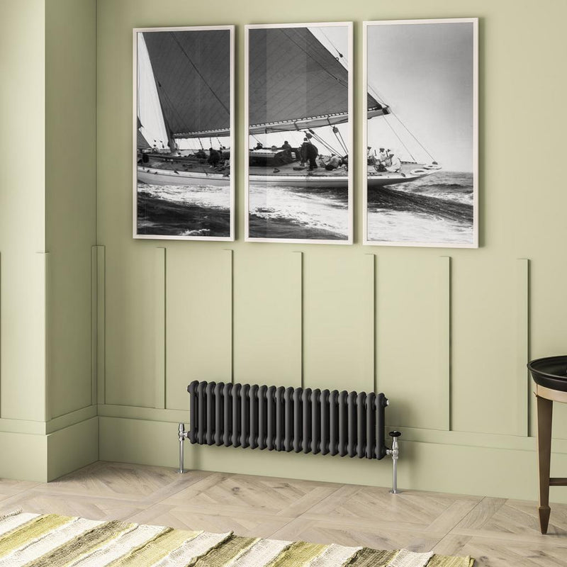 Imperia 2 Column Radiator 300 x 1010mm