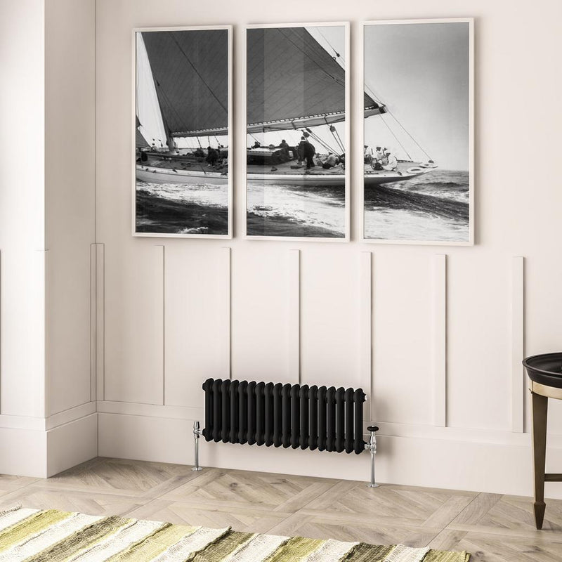 Imperia 2 Column Radiator 300 x 830mm