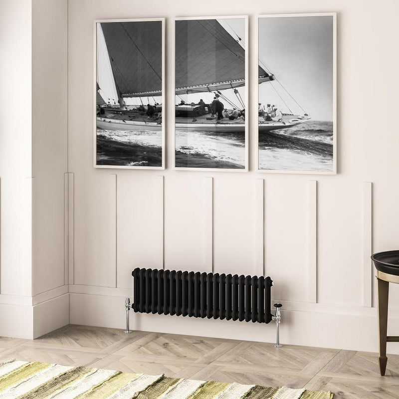 Imperia 2 Column Radiator 300 x 1010mm