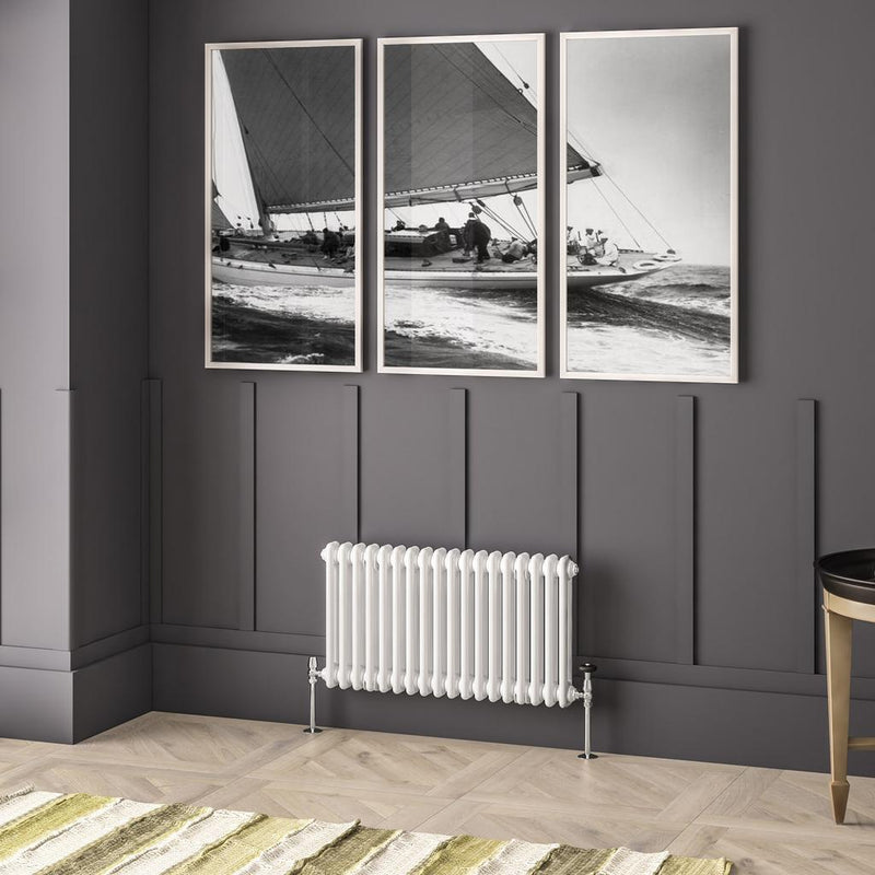 Imperia 2 Column Radiator 450 x 830mm