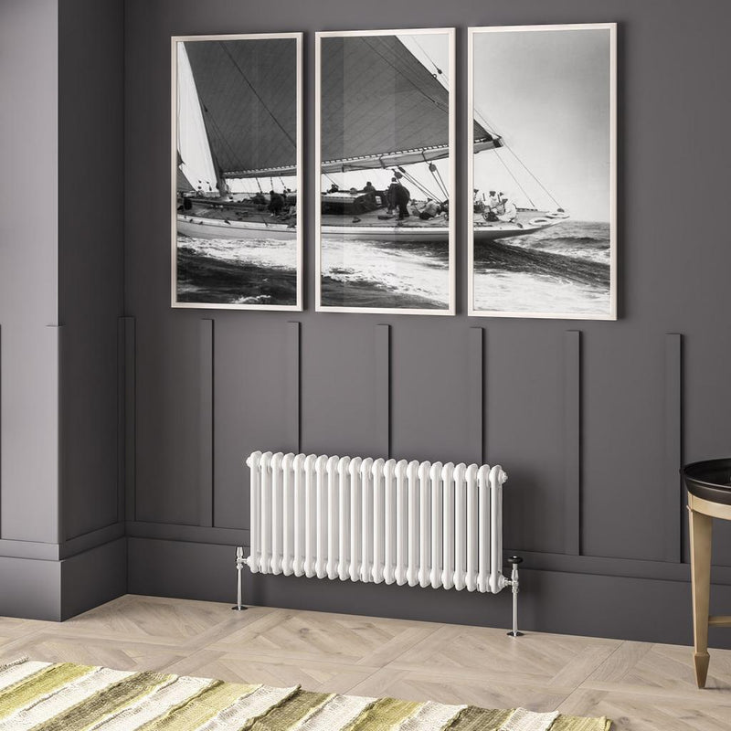 Imperia 2 Column Radiator 450 x 1010mm