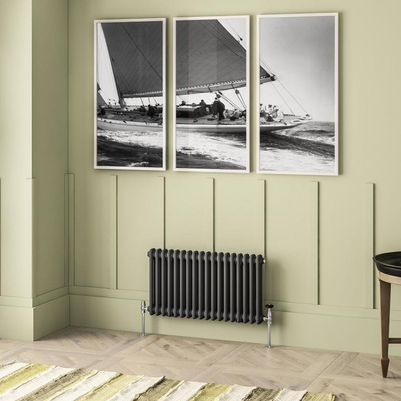 Imperia 2 Column Radiator 450 x 830mm