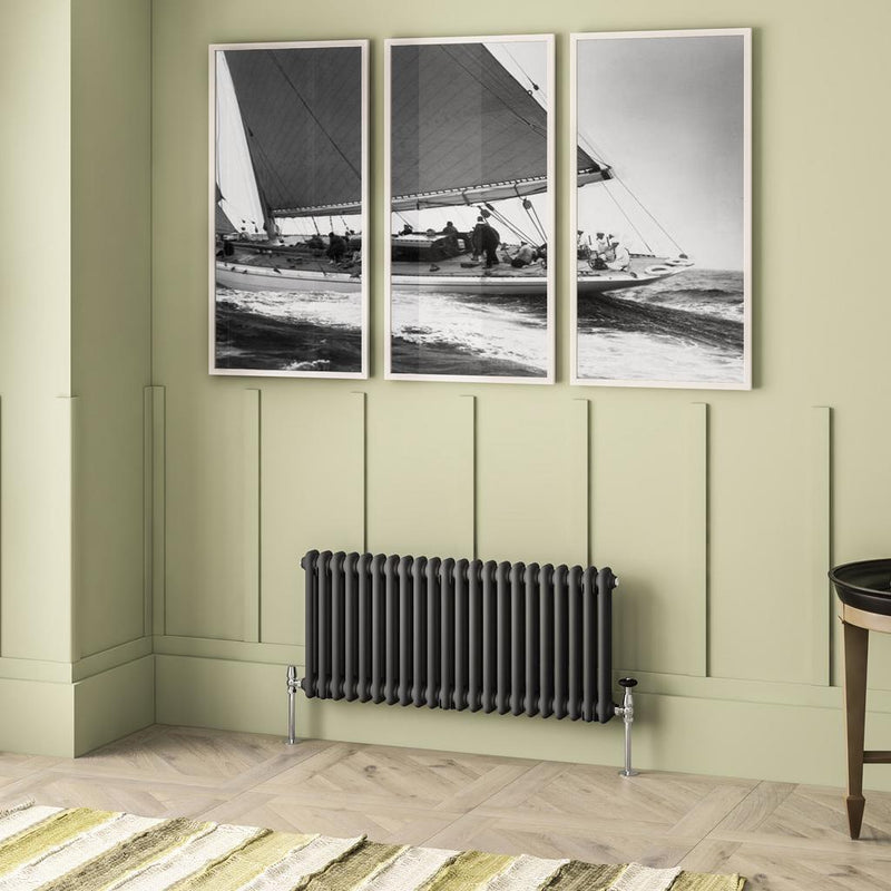 Imperia 2 Column Radiator 450 x 1010mm