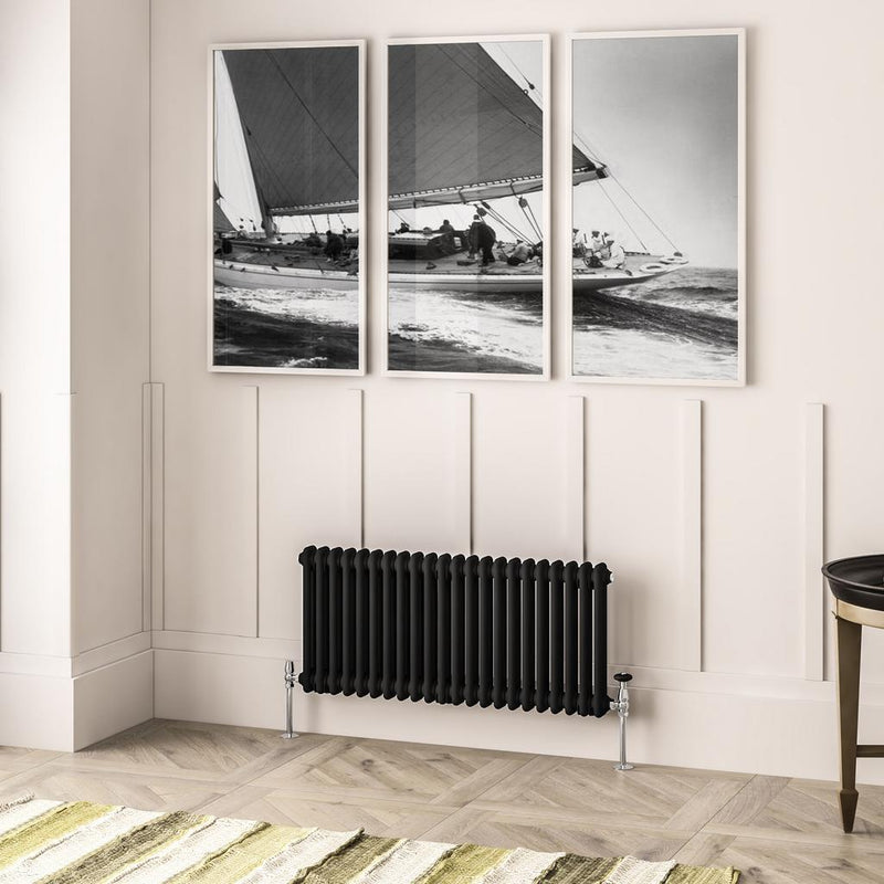 Imperia 2 Column Radiator 450 x 1010mm