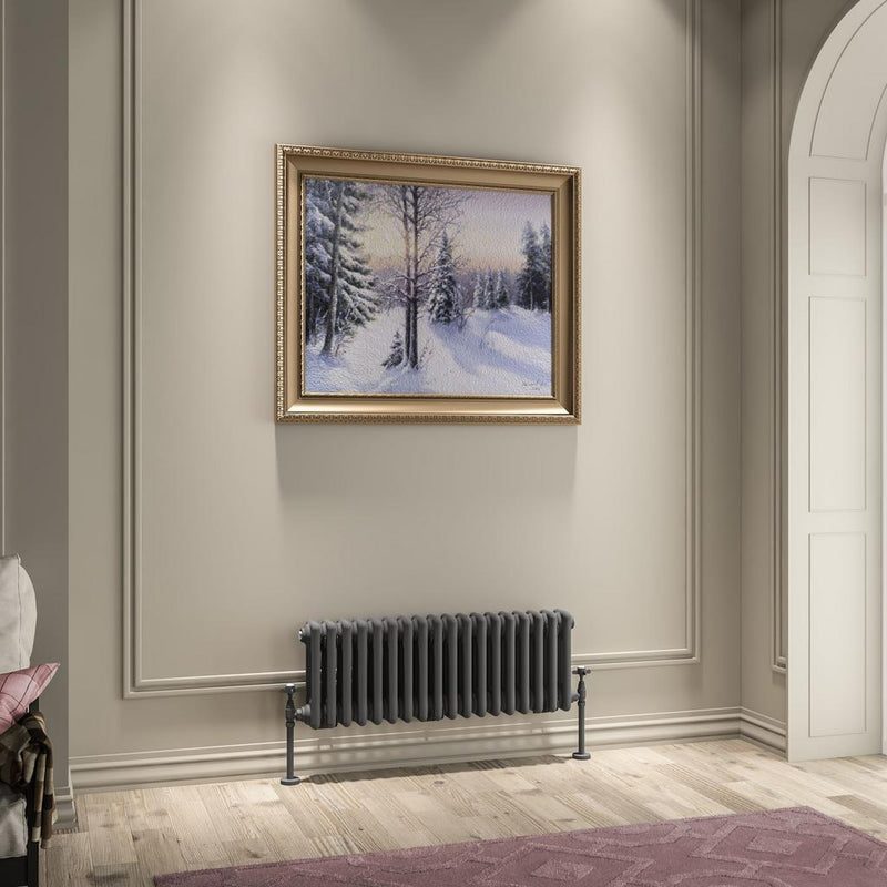 Imperia 3 Column Radiator 300 x 830mm