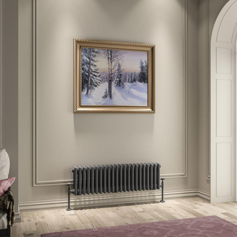 Imperia 3 Column Radiator 300 x 1010mm