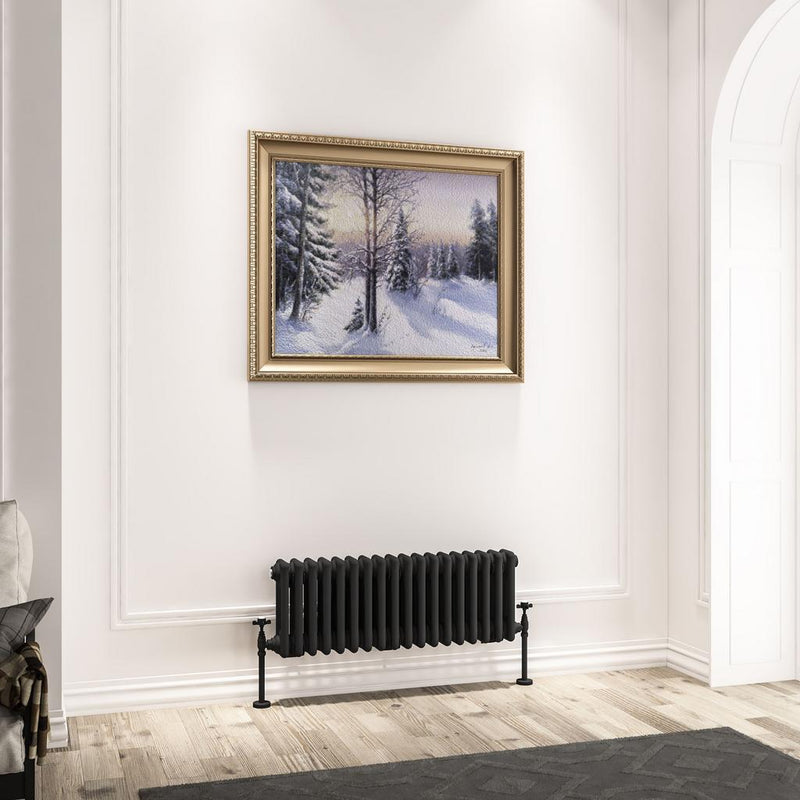 Imperia 3 Column Radiator 300 x 830mm