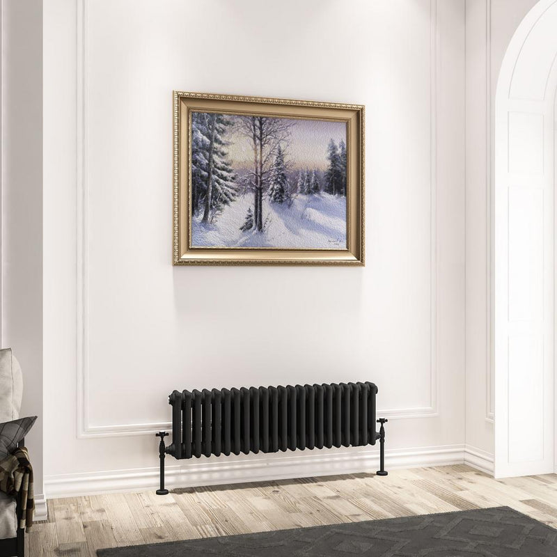 Imperia 3 Column Radiator 300 x 1010mm