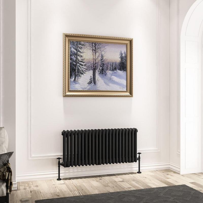 Imperia 3 Column Radiator 450 x 1010mm