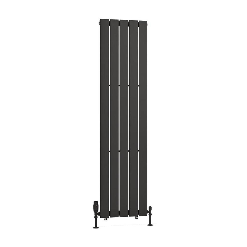 Warrington 1500 x 376 Radiator Type10