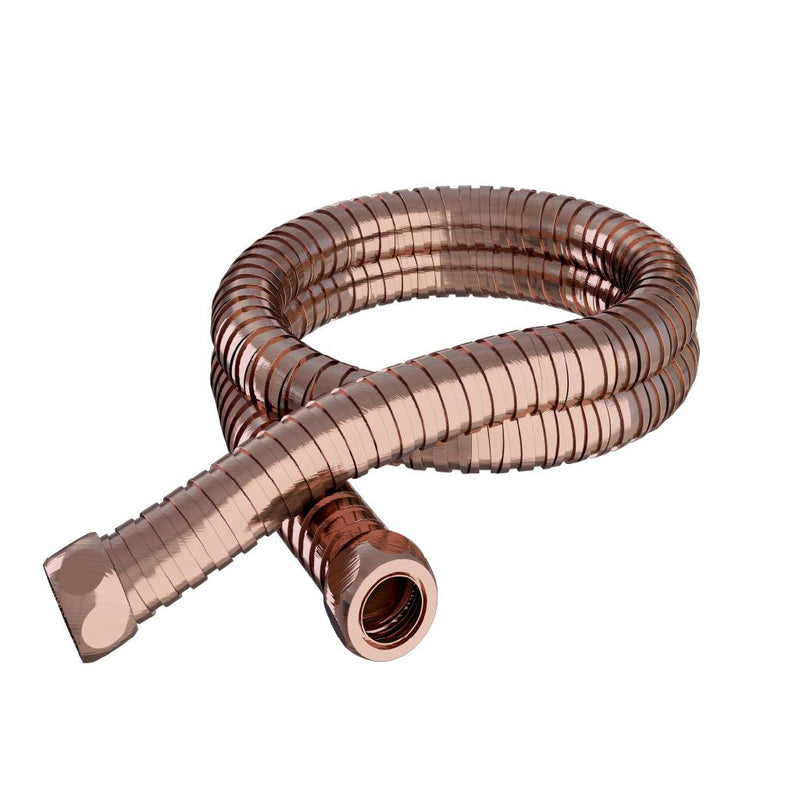 Modern Flexi Shower Hose