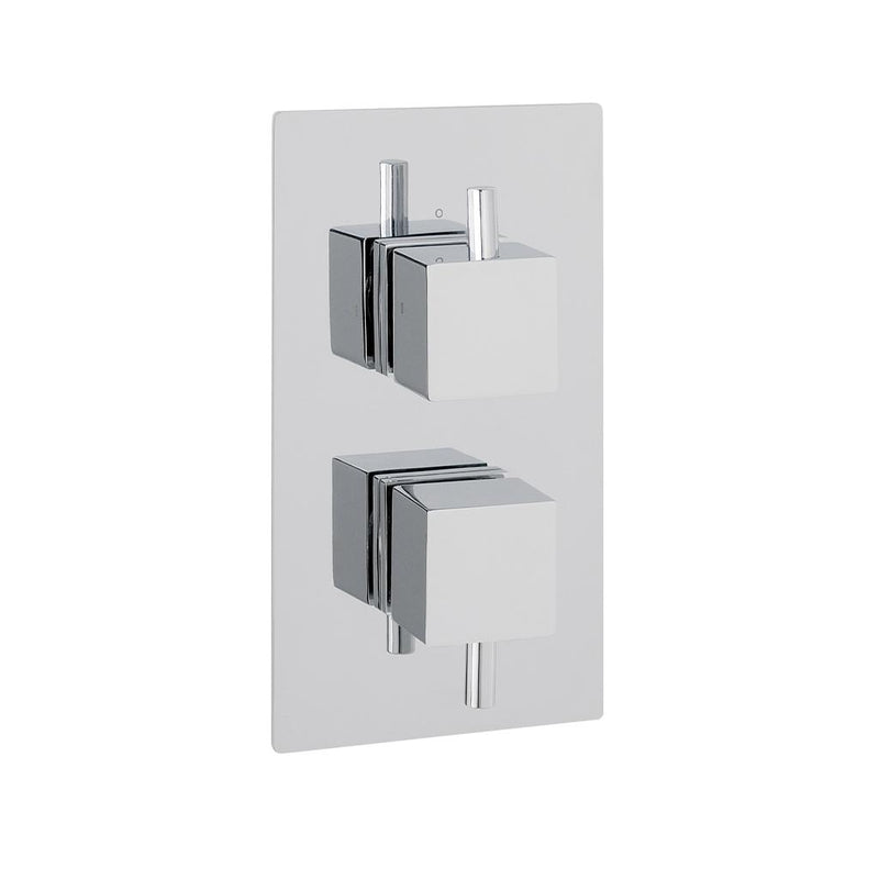 Square twin plate square rings