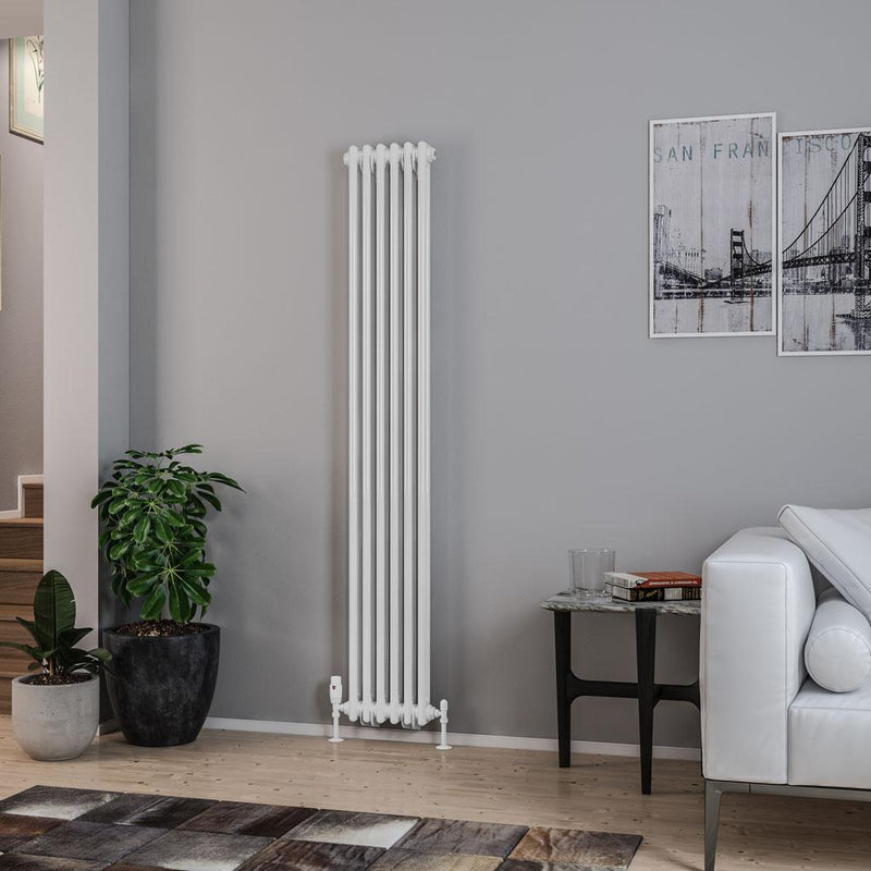 Rivassa 2 Column Radiator 1800 x 293mm