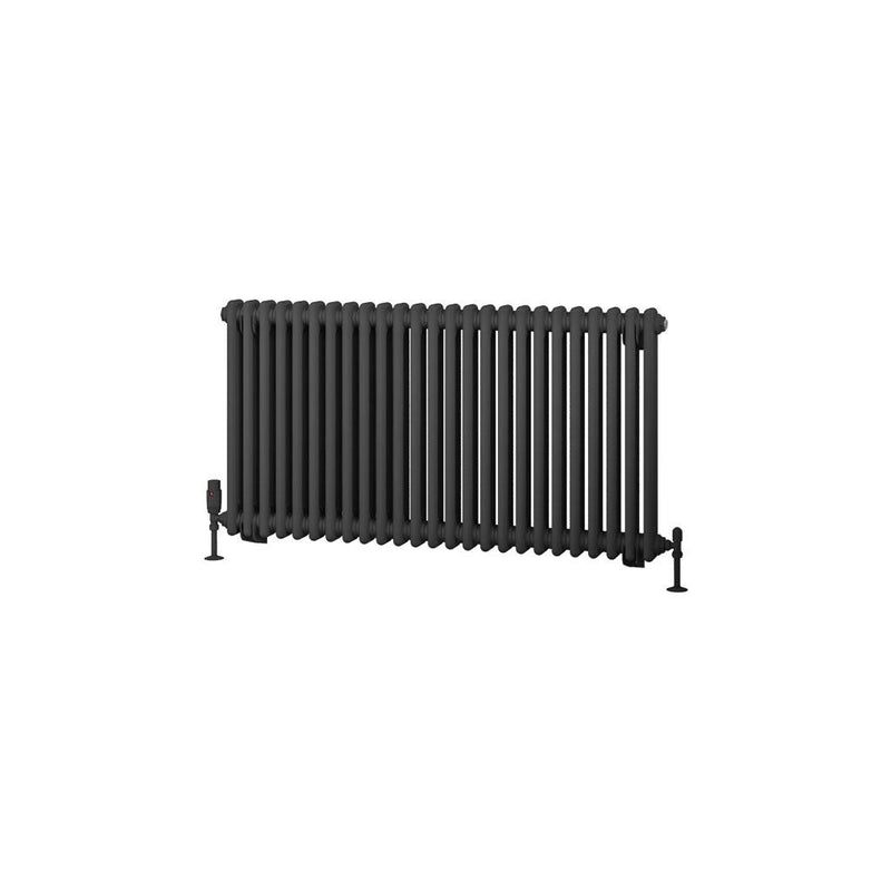 Rivassa 2 Column Radiator 600 x 1148mm