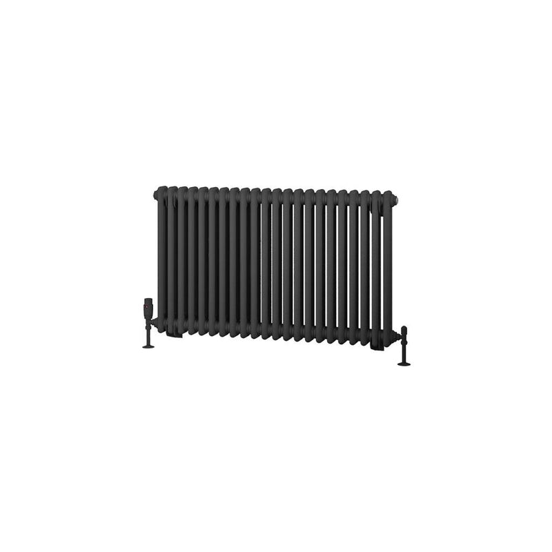 Rivassa 2 Column Radiator 600 x 1010mm