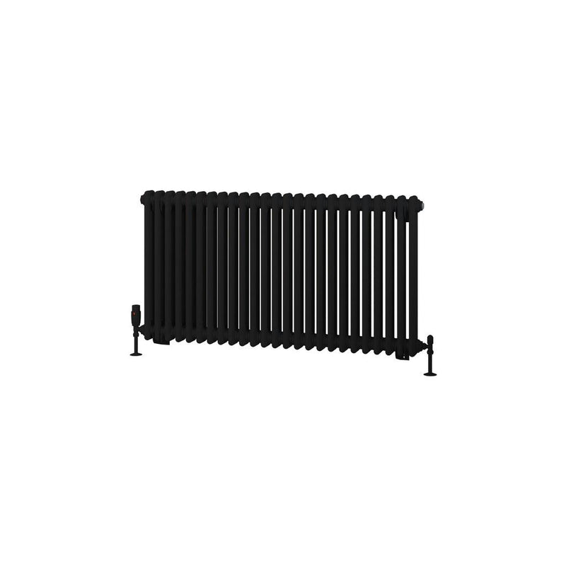Rivassa 2 Column Radiator 600 x 1148mm