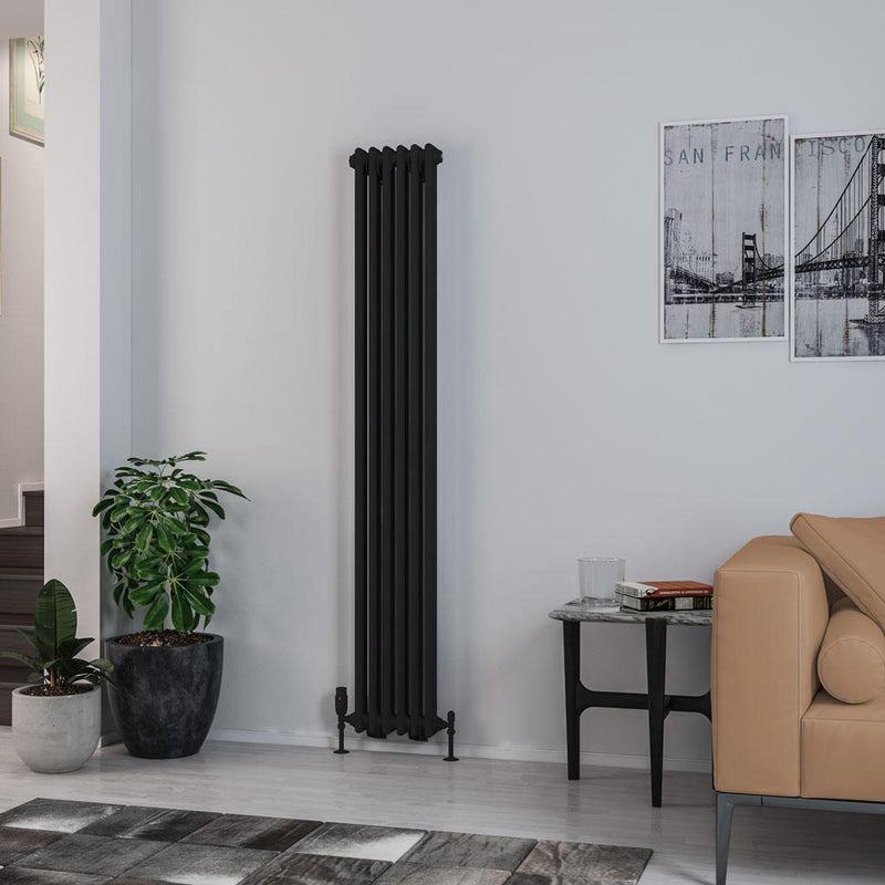 Rivassa 2 Column Radiator 1800 x 293mm