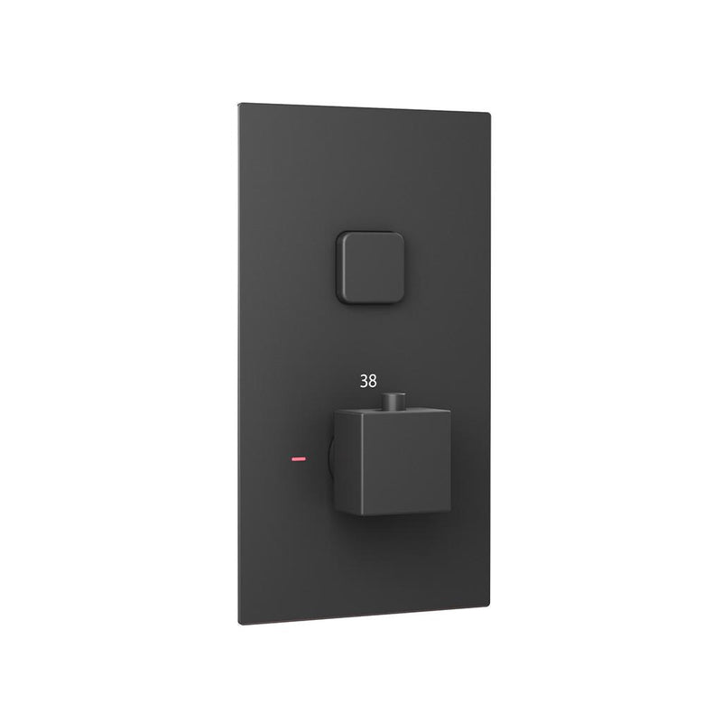 Square Concealed Ther.Single Push But.Shower Valve