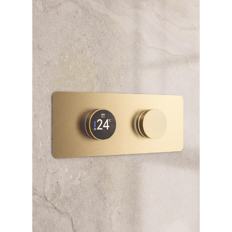 Denali Digital Shower Valve
