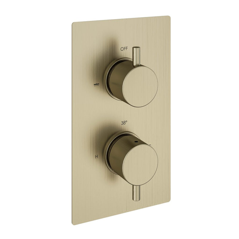 Meriden Concealed Twin Thermostatic Shower valve